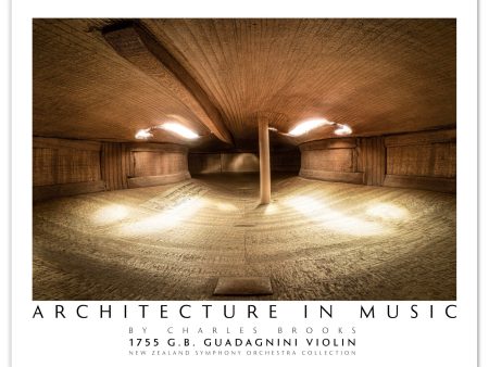 1755 G.B. Guadagnini Violin. Poster. USA & International (non-EU) Online