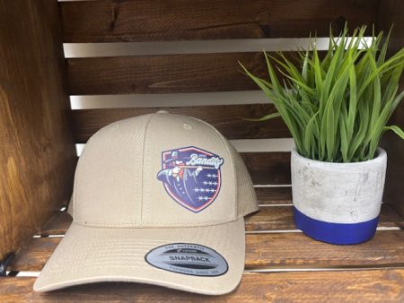 Khaki Third Logo hat Discount